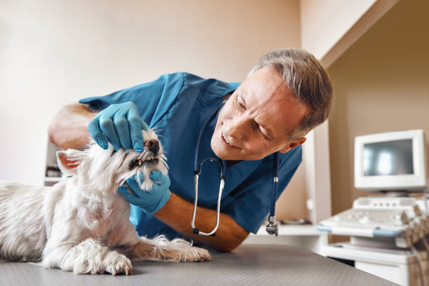 Best Same-Day Emergency Dentist in Healdton, OK